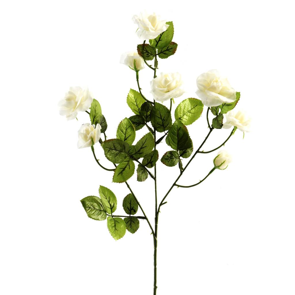 MP266673_1.jpg img